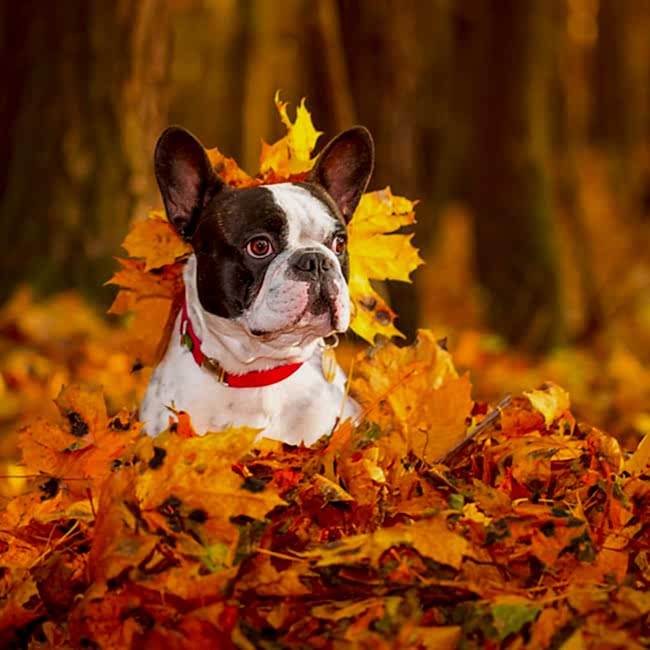 Moving into Winter, One Step at a Time